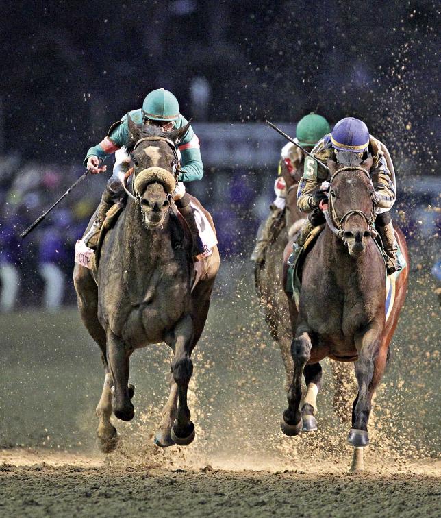 Breeder&#039;s cup, une pléiade de champions