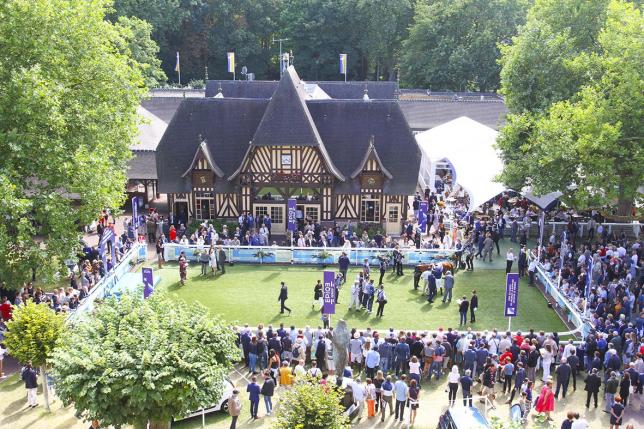 Deauville, le festival du cheval