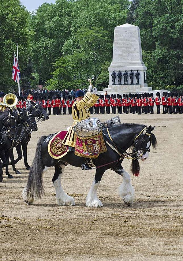 Horse Guards, royalement vôtre