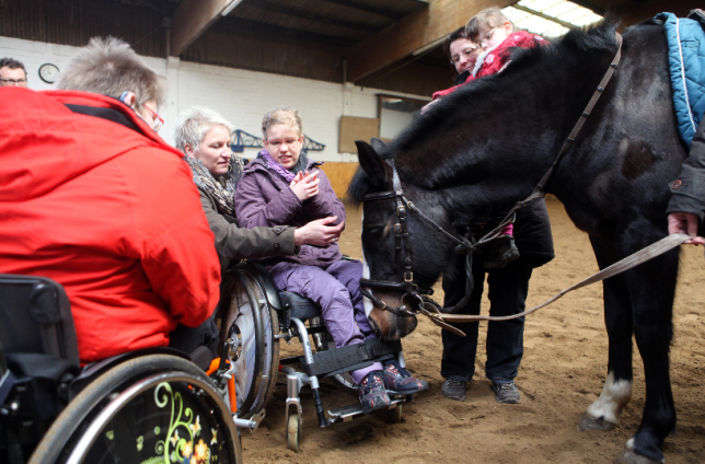 Equithérapie, une thérapeute insoupçonné