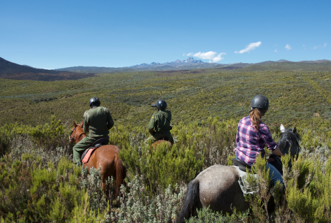 Kenya, des chevaux au service de l&#039;éléphant