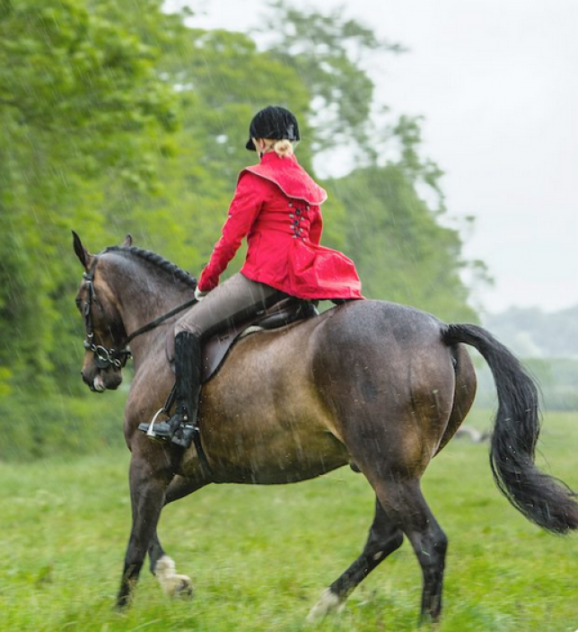 Georgia in Dublin, la mode à cheval ou sous la pluie