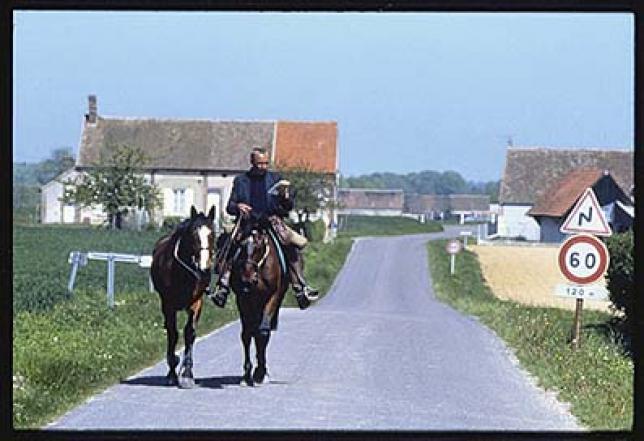 Jean-Louis Gouraud : “L’amour des chevaux est sans remède”