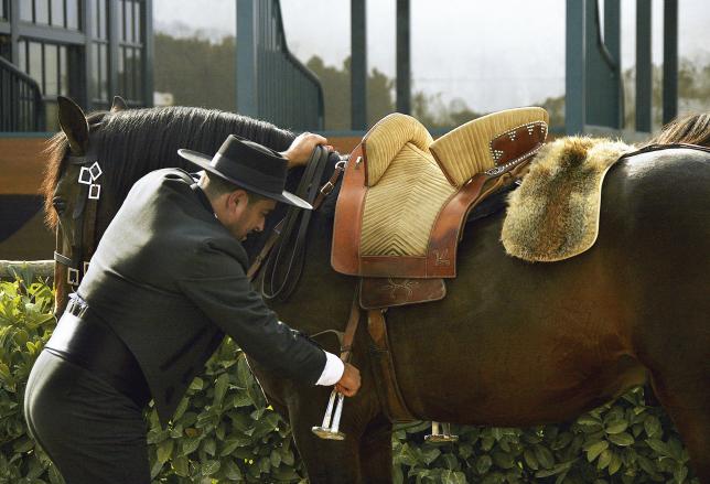 La Feira de Golegã célèbre le pur-sang lusitanien