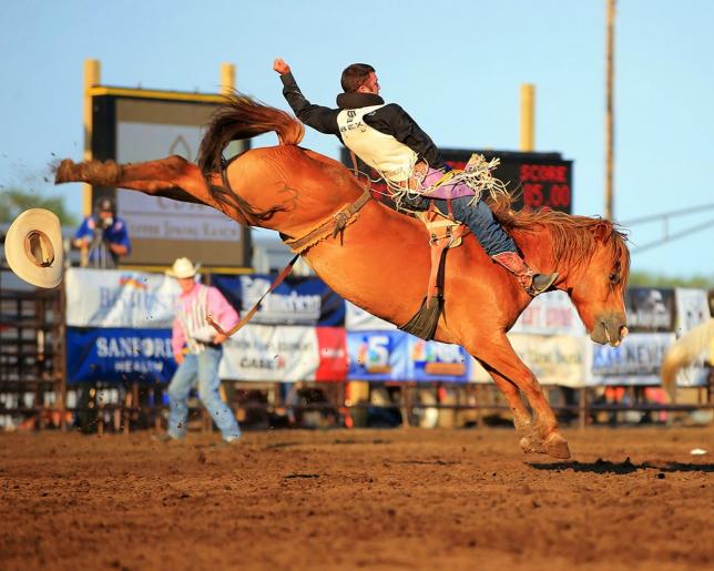 Rodéo, Adrenaline Cowboys