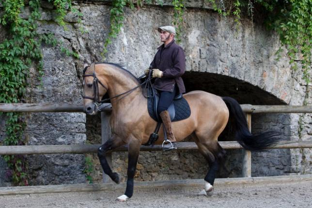 &quot;Pour moi, monter un cheval et réciter un poème c&#039;est la même chose&quot; - Bartabas