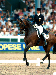 Dressage : mouvements perpétuels