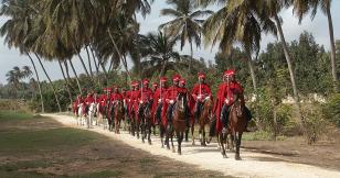 Spahis, cavaliers du désert