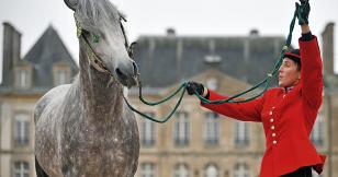 Jérôme Garcin : &quot;le bonheur est sur le dos d&#039;un cheval&quot;