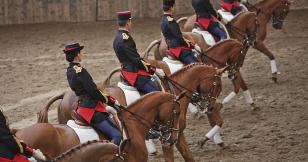 Horse Guards, royalement vôtre
